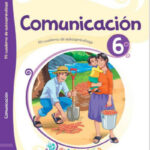 Cuaderno de trabajo Comunicación 6 : sexto grado Primaria